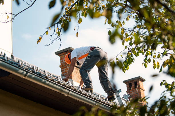 Roof Gutter Cleaning in Sandston, VA